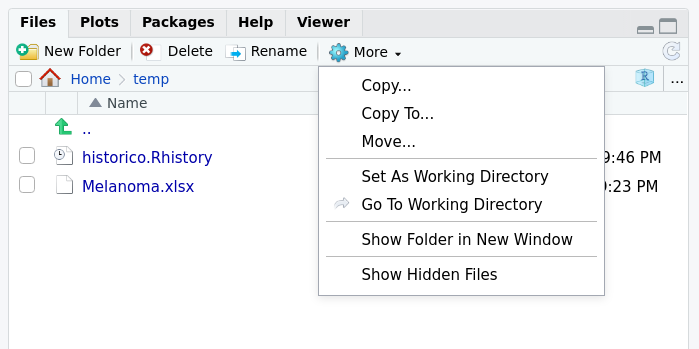 Aba Files do RStudio com a opção para especificarmos a pasta mostrada em Files como o diretório corrente.