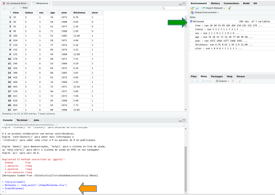 Tela do RStudio após a importação dos dados do Excel.
