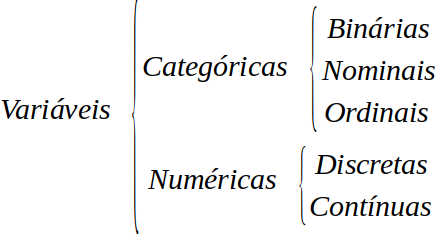 Resumo dos tipos de variáveis.