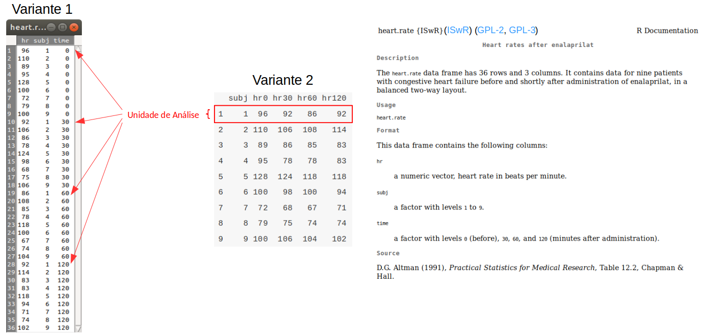 Duas formas de organização dos dados em estudos longitudinais. Fonte: conjunto de dados heart.rate, do pacote ISwR (GPL-2 | GPL-3).