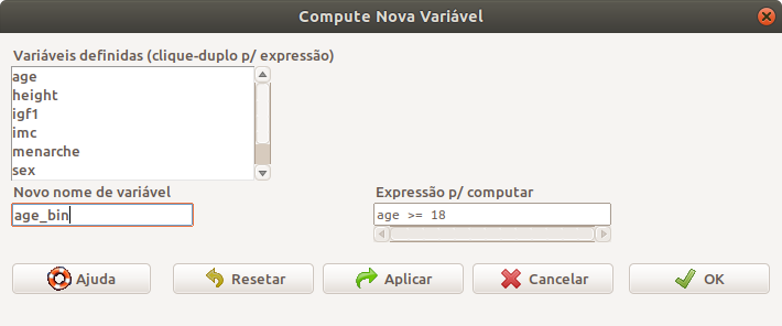 Caixa de diálogo para computar uma variável binária que indica se a pessoa é maior de idade ou não.